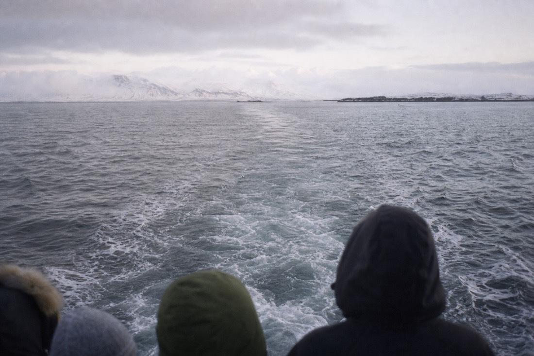 The wake of a whale watching boat crossing grey winter water off Reykjavík