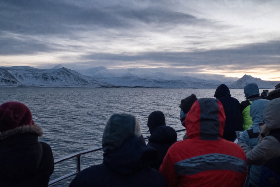 Passengers in thermal overalls scanning Faxaflói Bay on a Reykjavík whale watching tour