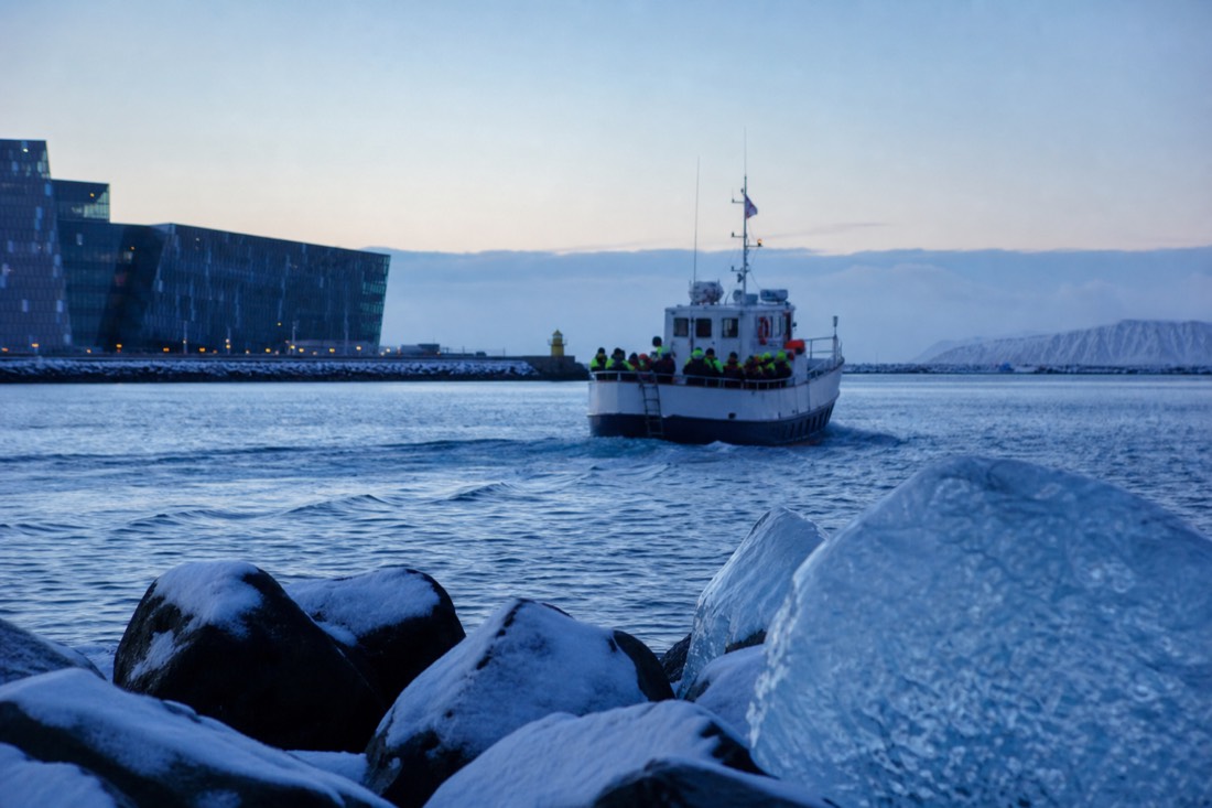 A whale watching boat leaving Reykjavík Old Harbour on a cold clear winter morning