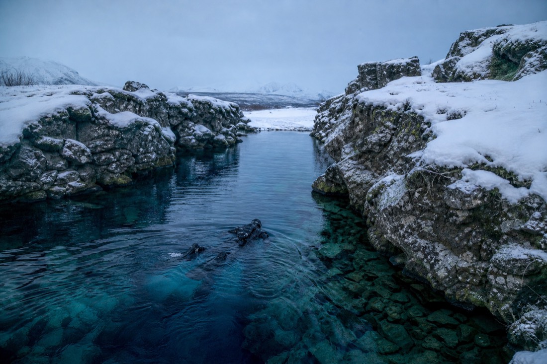 A drysuit snorkeller floating over the clear blue Silfra fissure at Þingvellir in winter