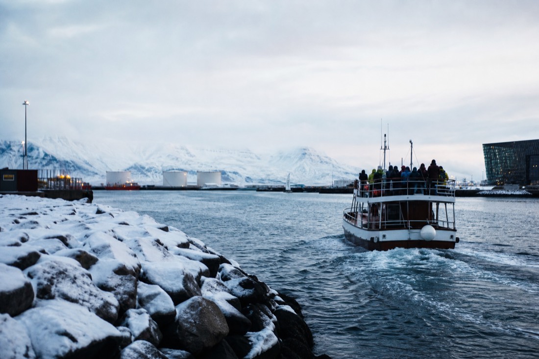 A whale watching boat leaving Reykjavík Old Harbour in winter light