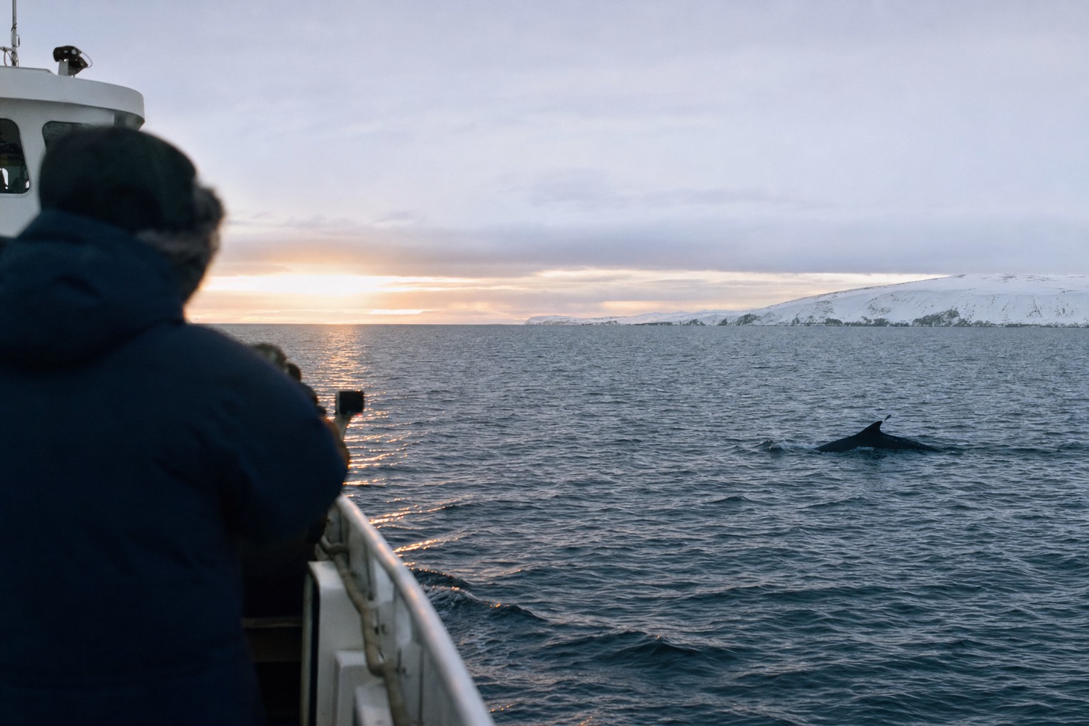 A whale watching boat on Faxaflói Bay under a low winter sun off Reykjavík