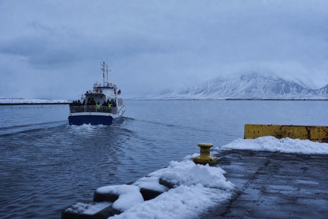 Whale watching boat leaving Reykjavik old harbour in flat February light, calm grey bay