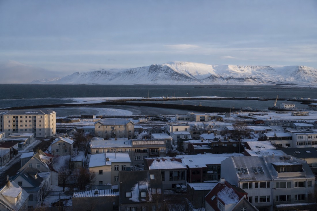 Reykjavik rooftops under pale midday winter light, snow on the harbour and Esja white beyond