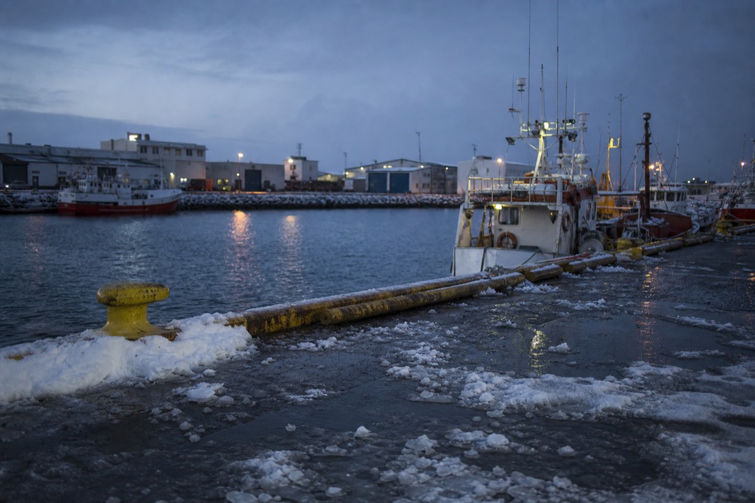Keflavik harbour before dawn in winter, fishing boats at the quay under blue twilight